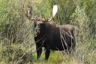The Rocky Mountains in the Colorado state, United States. Photographs by Amar Guillen.
